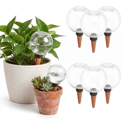 Bewässerungskugeln 6er-Set, 500 ml, transparent, für Pflanzen