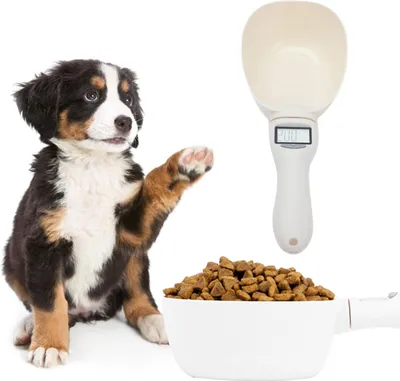 Obrázok produktu pre 800 g/1 g digitálna kuchynská váha s vysokou presnosťou a veľkou kapacitou pre domácnosť, kuchyňu a reštauráciu
