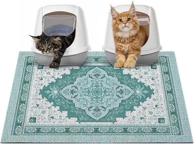 Produktbild von Famanu Katzenstreuunterlage – Waschbar und Urinbeständig – Zubehör für Innenkatzen – 85 x 57 cm