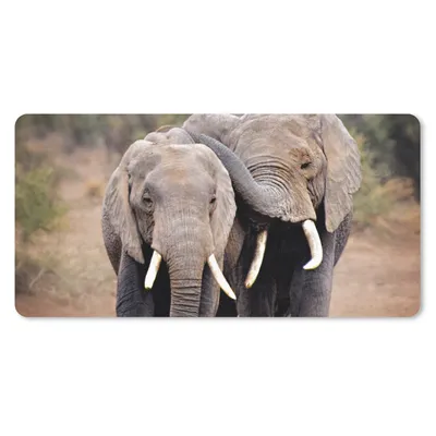 Produktbild von MuchoWow® Mauspad Mousepad Elefant - Tiere - Bäume - Natur 60x30 cm - Mousepads - Maus Mat - Pad - Mausunterlage - Nachhaltig