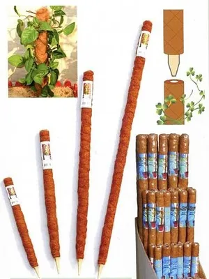 Obrázok produktu pre Podporná tyč pre kokosové rastliny ¤40/400 mm
