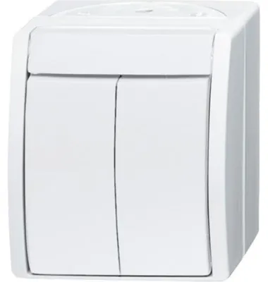 Zdjęcie produktu dla Busch-Jaeger 2601/5 W-54, 2P, Biały, 250 V, 10 A, 74 mm, 55 mm