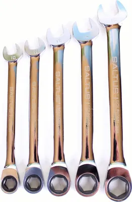 Immagine prodotto di SALTUS Set di 5 pezzi di chiavi ad anello a cricchetto professionale 10-16 mm cricchetto CV