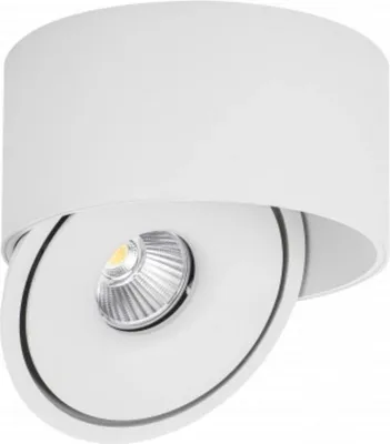 Image de Spot LED en Saillie COB 30W Rond ø176mm Orientable CCT Blanc - 3000K/4000K/6000K