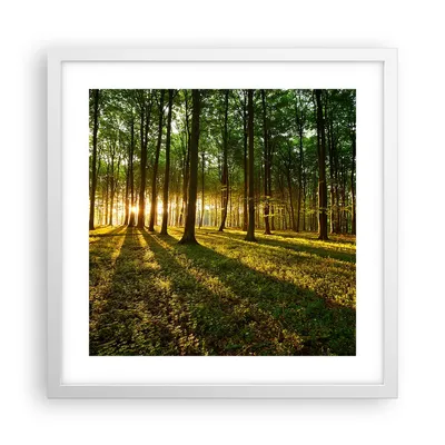 Produktbild von Gerahmtes Poster - Weißer Rahmen - Wald grün Sonnenstrahlen Natur - 40x40 cm - Wand Bild - Wanddeko - Wandbilder - Wandposter - Bilderrahmen - Bilder - Kunstdruck - Wandbild - P2WAC40x40-2510