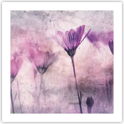 Produktbild von Poster - Poster ohne Rahmen - Blumen Rosa Vintage - 50x50 cm - Wand Bild - Wanddeko - Wandbilder - Kunstposter - Wandposter - Bilder - Kunstdruck - Wanddekoration - Wandbild - P2XAC50x50-4432
