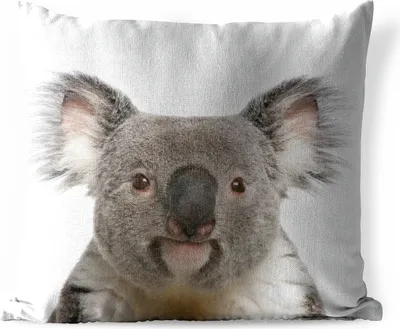 Produktbild von MuchoWow® Outdoor Kissen - Koala - Koala Bär - Mädchen - Jungen - Tiere - 60x60 cm - Wetterfest - Lounge Kissen - Dekoration - Schlaf Kissen