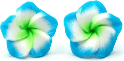 Produktbild von Frangipani Blumen Ohrstecker Miniblings Pulmera Surfing Blume Sommer türkis