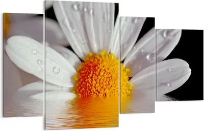 Produktbild von Bild auf Leinwand - Leinwandbild - Kraut Kamille Blume Wasser - 120x70cm - Wand Bild - Wanddeko - Leinwanddruck - Bilder - Kunstdruck - Wanddekoration - Leinwand bilder - Wandkunst - DL120x70-2282