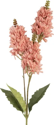 Immagine prodotto di Fiore artificiale Clayre & Eef 10x7x74 cm Rosa plastica