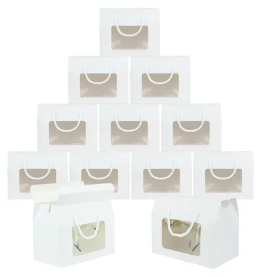 Papiertragetaschen 20x15x11 cm, weiß, 24 Stück, mit Sichtfenster