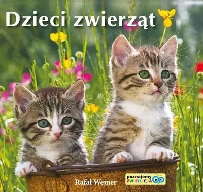 Produktbild von Poznajemy zwierzęta. Dzieci zwierząt LIWONA - Rafał Wejner