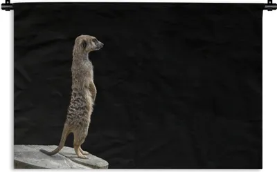Produktbild von MuchoWow® Wandteppich Wandbehang Erdmännchen - Wilde Tiere - Schwarz 150x100 cm Tapisserie Dekoration Wandtuch - Waschbar - Tapisserien - Wand-Decke