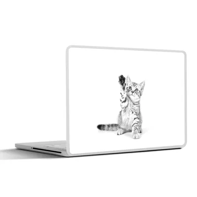 Produktbild von MuchoWow® Laptop Aufkleber Sticker Cover Kätzchen - Pfote - Weiß - Mädchen - Kinder - Jungen - Kind 32.5x23.5 cm - Sticker für Laptop - Selbstklebend