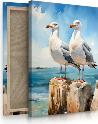 Produktbild von Muralo Leinwandbild CANVAS Möwen Vor Dem Meereshintergrund Br. 40 cm x Hö. 60 cm Wandbild mit Abstrakt-Motiv