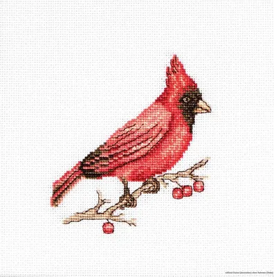 Immagine prodotto di Luca-S set per punto croce "Cardinal", schema contato, 10x9cm