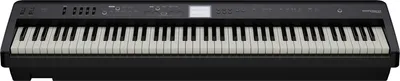 Immagine prodotto di Roland FP-E50 nero