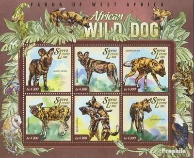 Produktbild von Briefmarken Sierra Leone 2015 Mi 6050-6055 Kleinbogen (kompl. Ausg.) postfrisch Wilder Hund