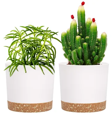 Image de Omgoods - Lot de 2 pots de fleurs blancs avec trous de drainage