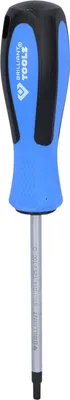 Image de BRILLIANT TOOLS Tournevis TORX T25 x 100 mm - BT031014