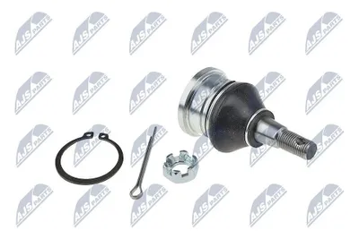 Produktbild von NTY Traggelenk Unten Vorne Links Vorne Rechts für TOYOTA Yaris Schrägheck (P9) ZSD-TY-028