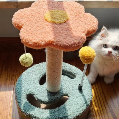 Produktbild von 360Home Drehbares Katzenklettergerüst kratzbaum orange