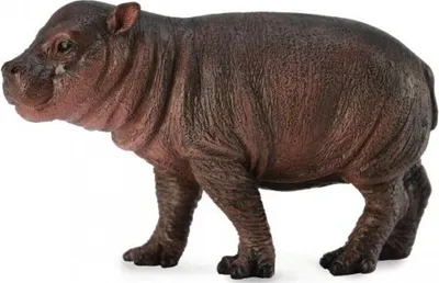 Image de animaux sauvages : hippopotame pygmée 6 cm brun foncé