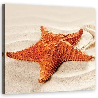 Produktbild von Leinwandbild tiere - beige 50x50 cm Feeby beige wandbild bereit zum aufhängen