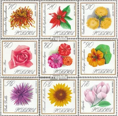 Produktbild von Briefmarken Polen 1966 Mi 1696-1704 (kompl.Ausg.) gestempelt Gartenblumen
