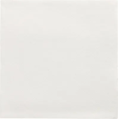 Obrázek produktu pro PAPSTAR Serviette DAILY Collection 89612 32x32cm we 20St