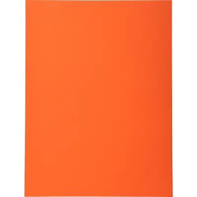 Produktbild von Exacompta 10x 50er Packung Aktendeckel FOREVER® 170 Grün - Orange - 420207E