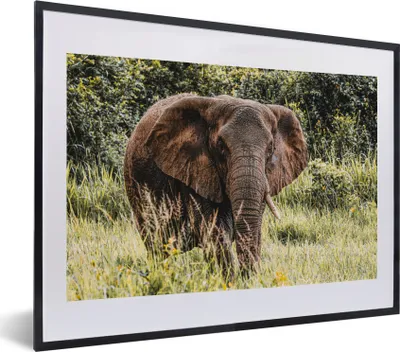 Produktbild von MuchoWow® MuchoWow® Gerahmtes Poster Elefant - Natur - Gras 40x30 cm - Poster mit zchwarzem Bilderrahmen - Bilderrahmen - Poster im Rahmen