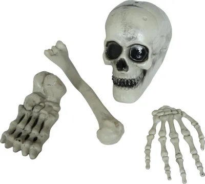 Image de Squelette Décoration Horreur Crâne Ossements Set Fête d'Halloween, couleur : blanc