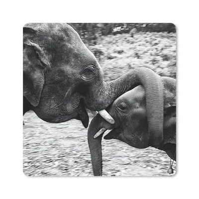 Produktbild von MuchoWow® Mauspad Mousepad Elefant - Tiere - Natur - Schwarz und weiß 20x20 cm - Mousepads - Maus Mat - Pad - Mausunterlage - Desk Mat - Bureauartikeln