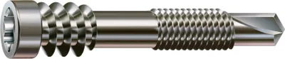 Immagine prodotto di SPAX® 0557000500443 SPAX® Terrassenschrauben T25 Zylinderkopf A2 0557000500443 5 mm x 44 mm, 100 St.