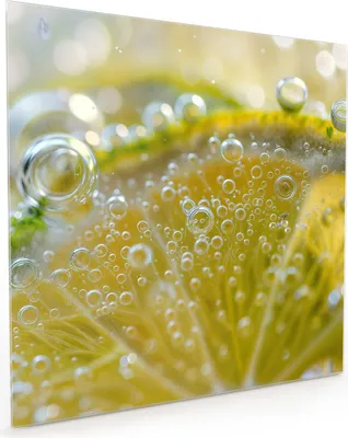 Produktbild von Küchenrückwand Spritzschutz Glas mit Motiv Zitronenscheibe 40 x 40 cm