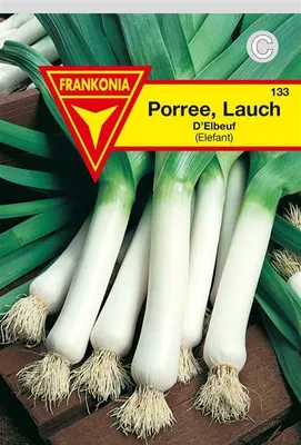 Produktbild von Porree/Lauch Elefant
