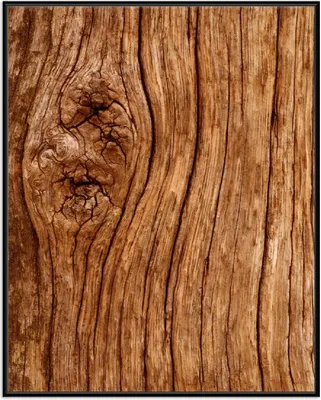 Produktbild von Wallario Wandbild Holzstamm mit Asteinschluss, Größe: 40,30 x 50,30 cm, Poster mit schwarzem Aluminiumrahmen