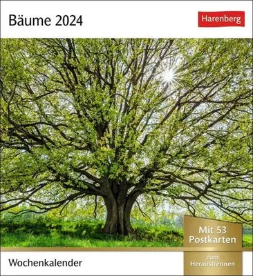 Produktbild von Bäume Postkartenkalender 2024