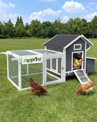 Produktbild von Hühnerstall Hühnerhaus Hühnervoliere mit Rollen zooprinz Franzi | Wetterfest & Winterfest | 207 x 100 x 88 cm | Klappdach | Nistkasten