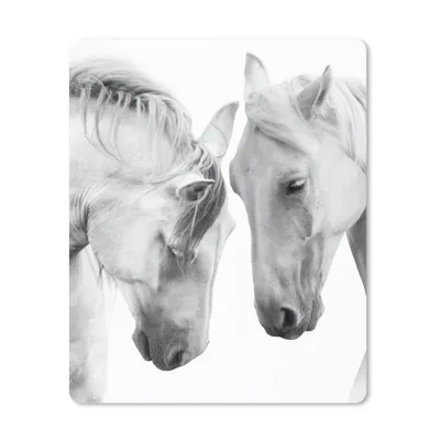 Produktbild von MuchoWow® Mauspad Mousepad Pferd - Tiere - Porträt - Weiß 19x23 cm - Mousepads - Maus Mat - Pad - Mausunterlage - Mauspads - Spielen