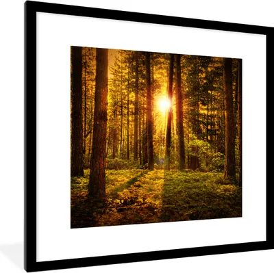 Produktbild von MuchoWow® Gerahmtes Poster Wald - Sonne - Bäume - Natur - Sonnenuntergang 40x40 cm - Poster mit Schwarzem Bilderrahmen Wandposter Rahmen Foto Bilder - Poster - Plakat im Rahmen