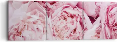 Produktbild von Bild auf Leinwand - Leinwandbild - 3 Teile - Blumenstrauß Blumen Rosa - 90x30cm - Wand Bild - Wanddeko - Wandbilder - Leinwanddruck - Bilder - Wanddekoration - Leinwand bilder - CA90x30-5001