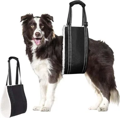 Imagen del producto de Asiento de transporte para perros, adecuado para perros pequeños, medianos y grandes, seguro y cómodo