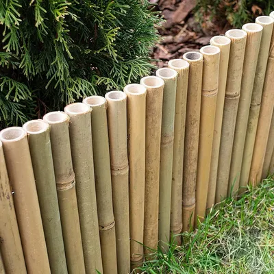 A close-up view of a bamboo border fence separating a garden bed from grass and mulch.