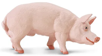 Produktbild von Safari 2352-29 - Schwein, stehend