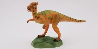 Produktbild von Dinosaurier Pachycephalosaurus - Spielfigur 19cm - Prehistoric World