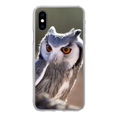 Produktbild von MuchoWow® Handyhülle Schutzhülle Hülle für iPhone X Eule - Makro - Tier Silikon Softcase Handy Hülle - Handyhülle