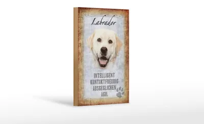 Produktbild von Holzschild Spruch 12x18cm Labrador Hund Schild