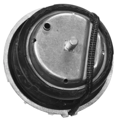 Produktbild von TEDGUM Motorlager Hydrolager Vorne passend für MERCEDES-BENZ VIANO (W639) TED46098
